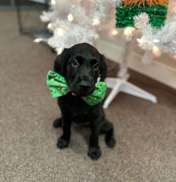 Images Valerie Olsen Feliciano - State Farm Insurance Agent