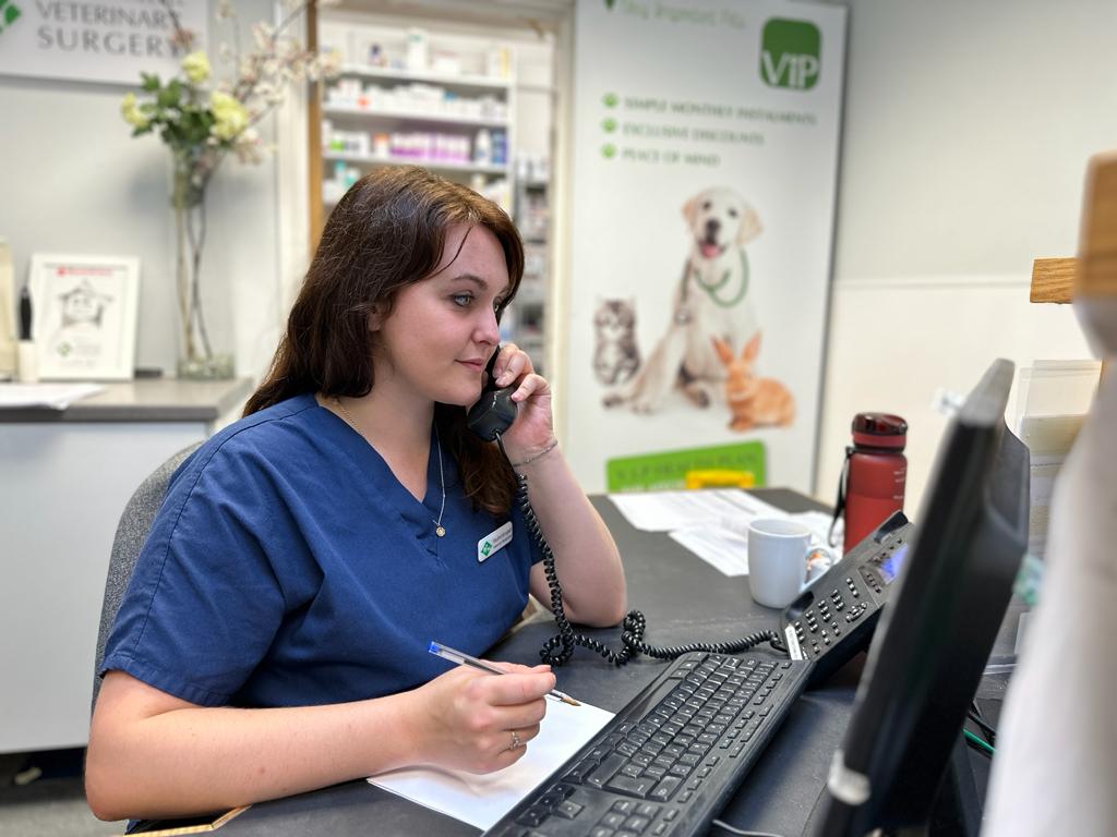 Images Streatham Hill Veterinary Surgery