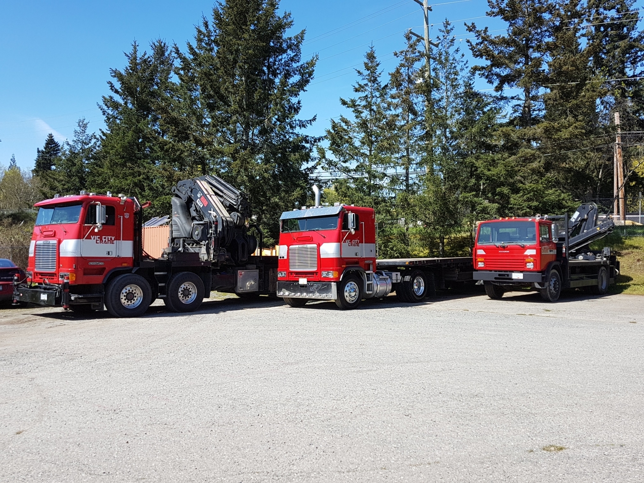 Vic City Crane Ltd - CRANES, GOODS LIFTS AND SITE LIFTS ...