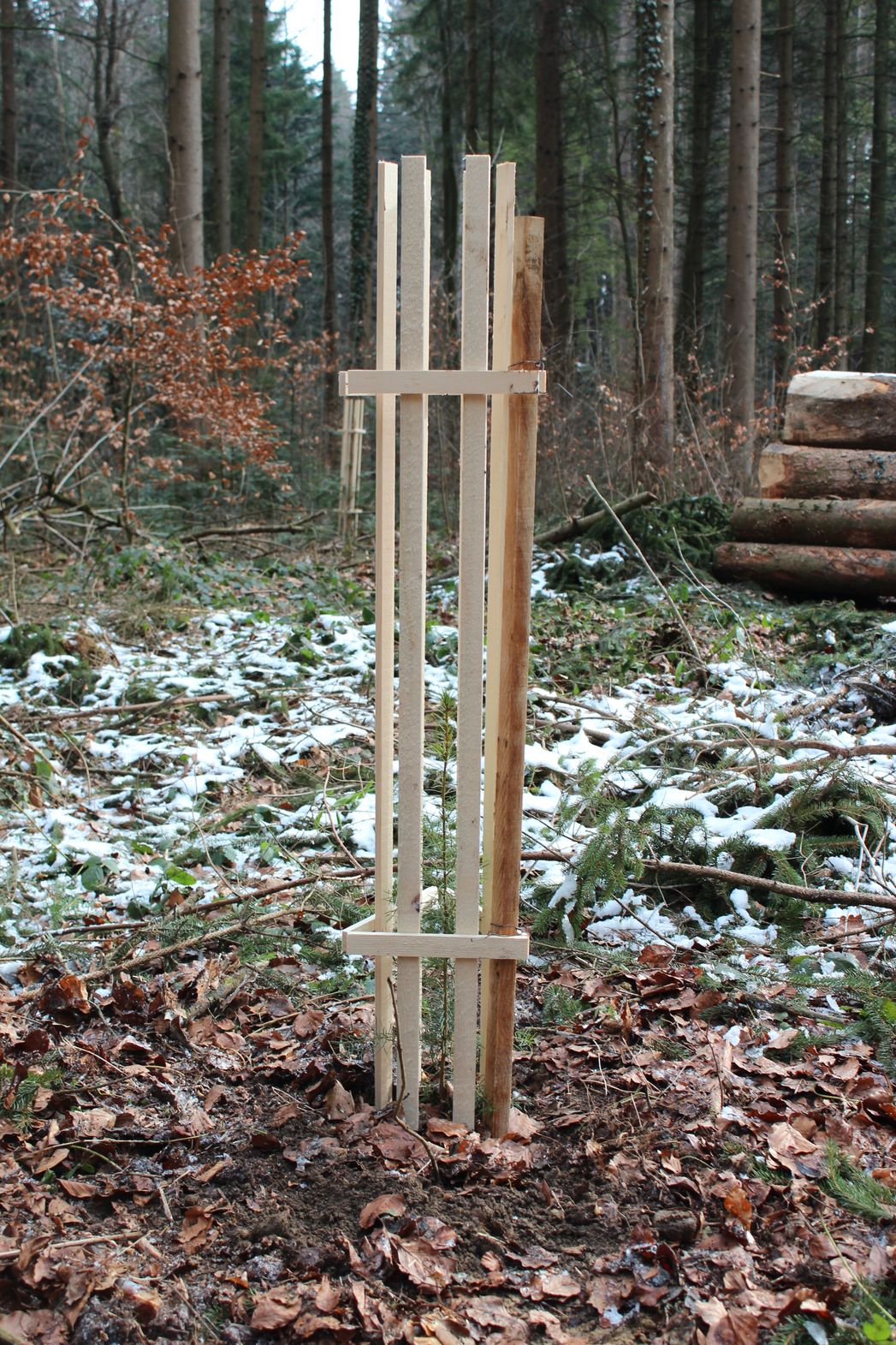 Emme Forstbaumschulen AG, Schachen 9 in Wiler b. Utzenstorf