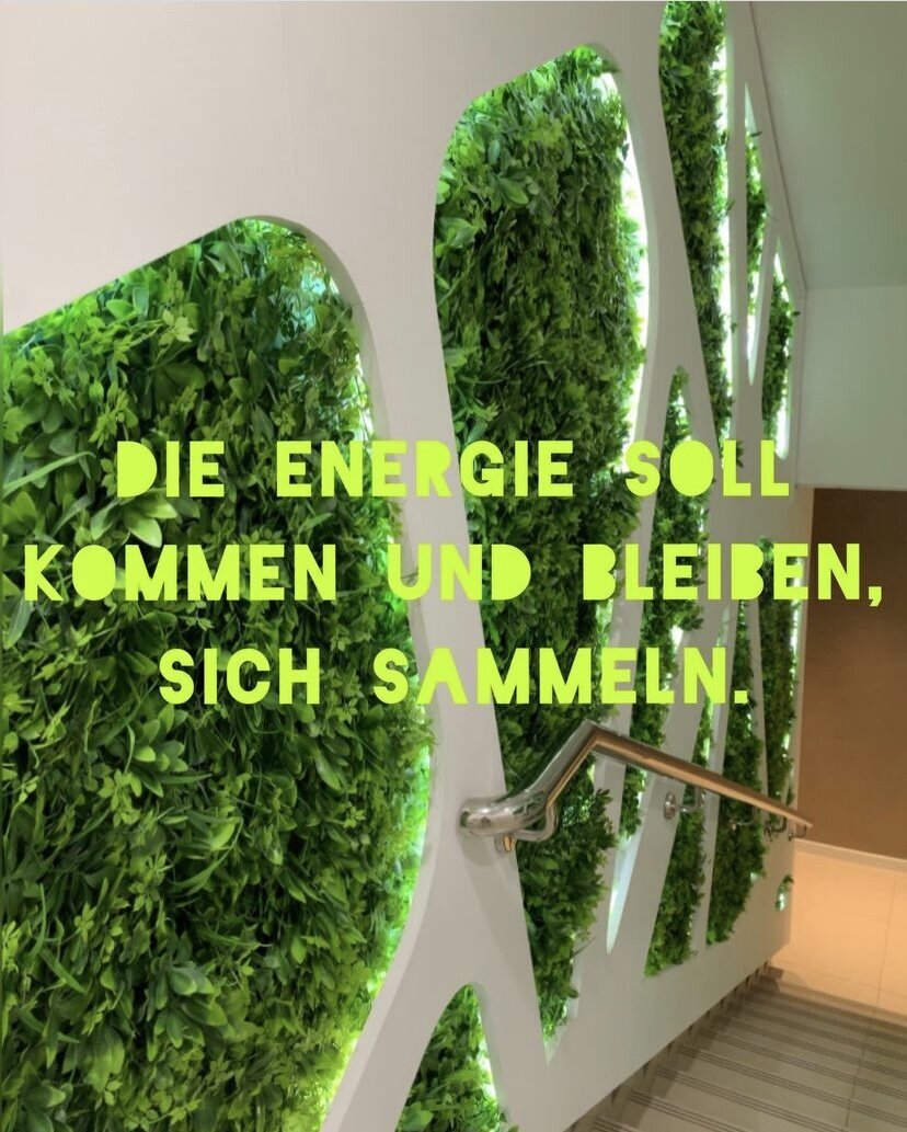 Lebensraum Feng Shui Beratung, Tailfinger Straße 9 in Stuttgart
