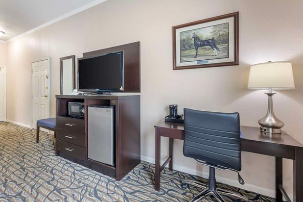 Images Best Western Spring Hill Inn & Suites