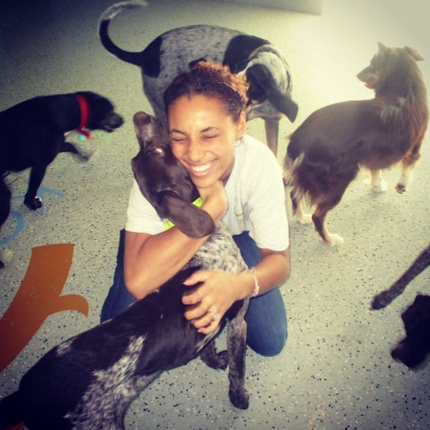 Images KC Dawgz Dog Training Academy