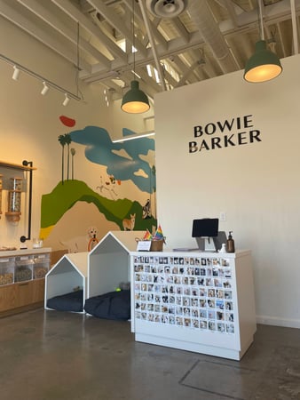 Images Bowie Barker West Hollywood