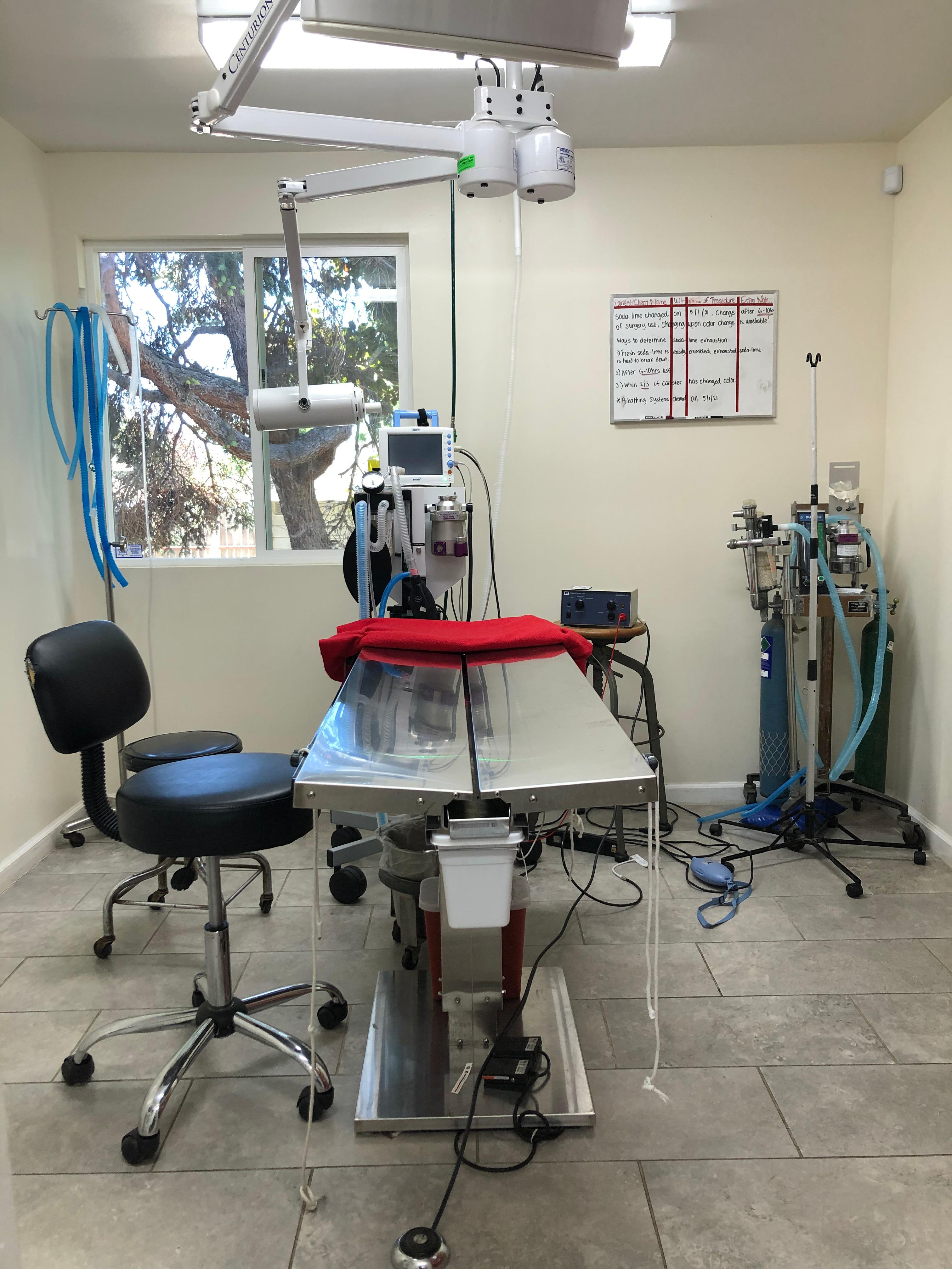 All Creatures Veterinary Hospital