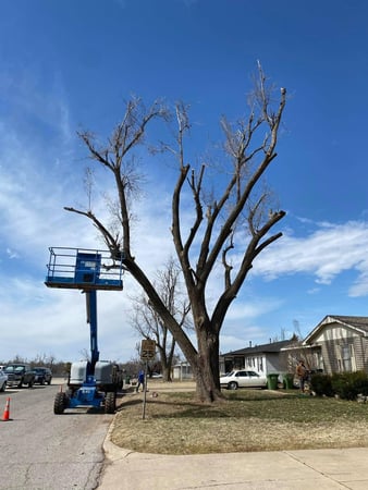 Images KB Landscape & Tree Service