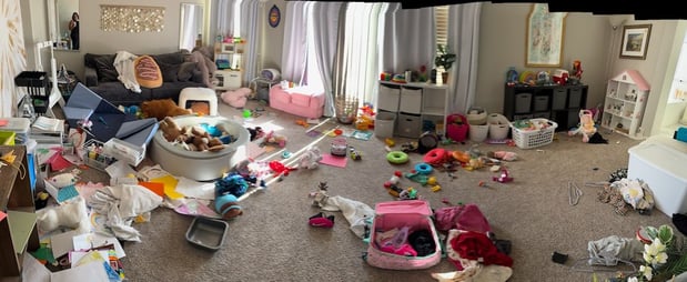 Images Perfectionist of Cleaning