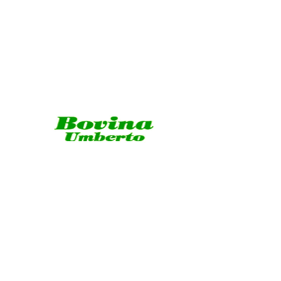 Bovina Umberto Logo