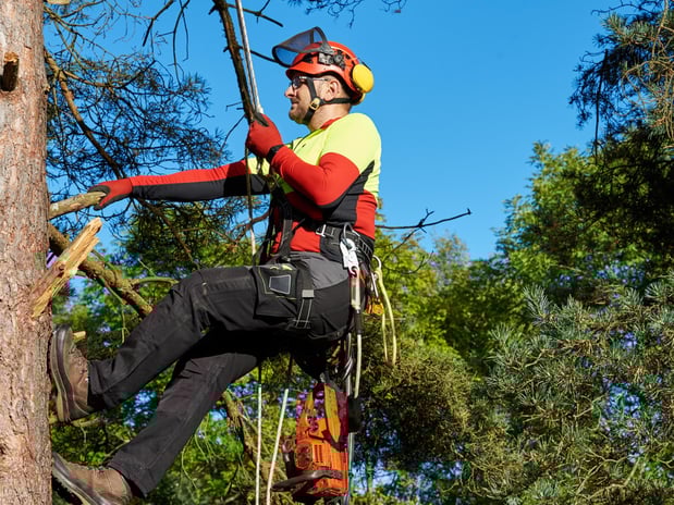 Images Nationwide Tree Service