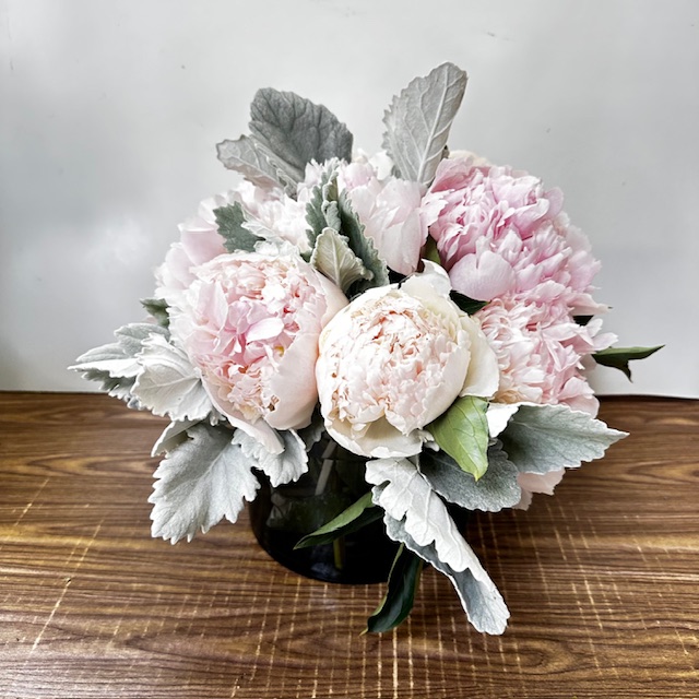 Images Jane's Roses & Flowers