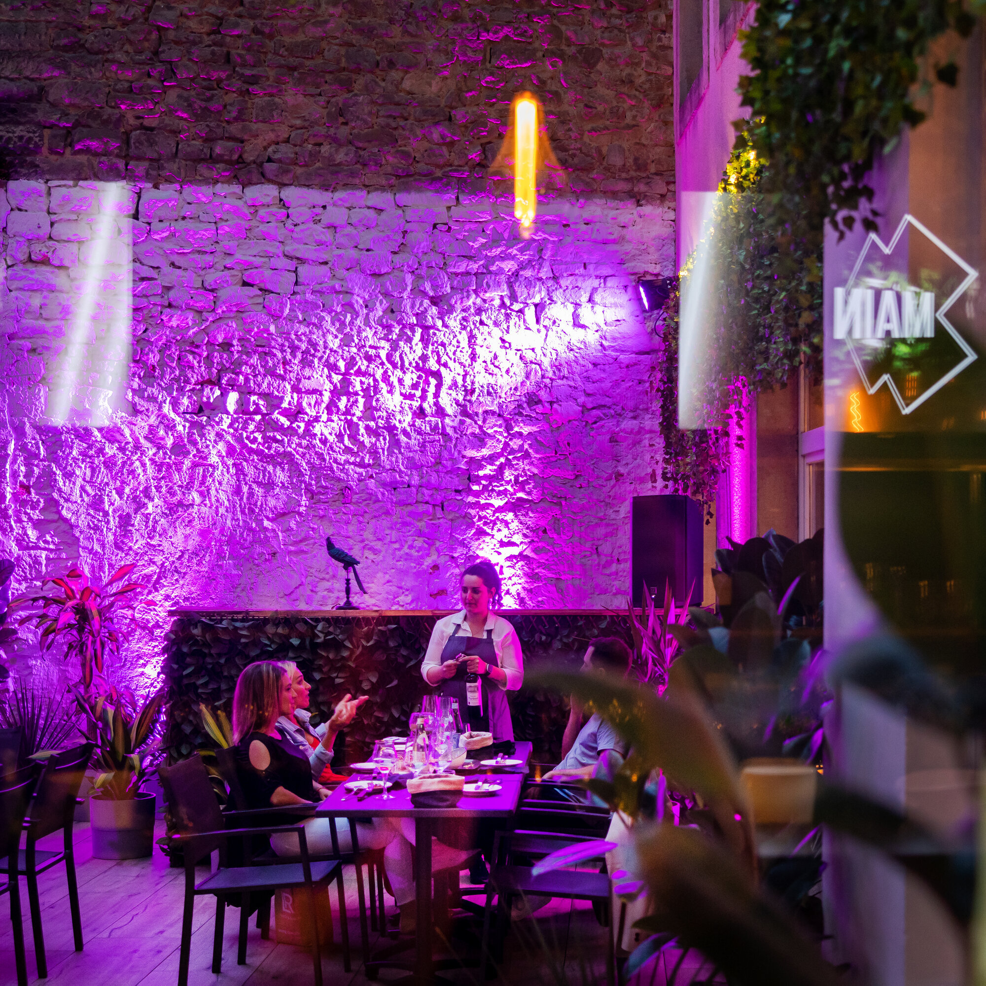 Images Main Experience