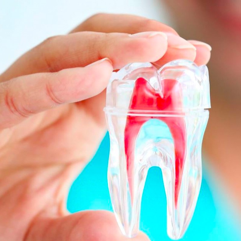 Images Igea Deltal Studio Odontoiatrico