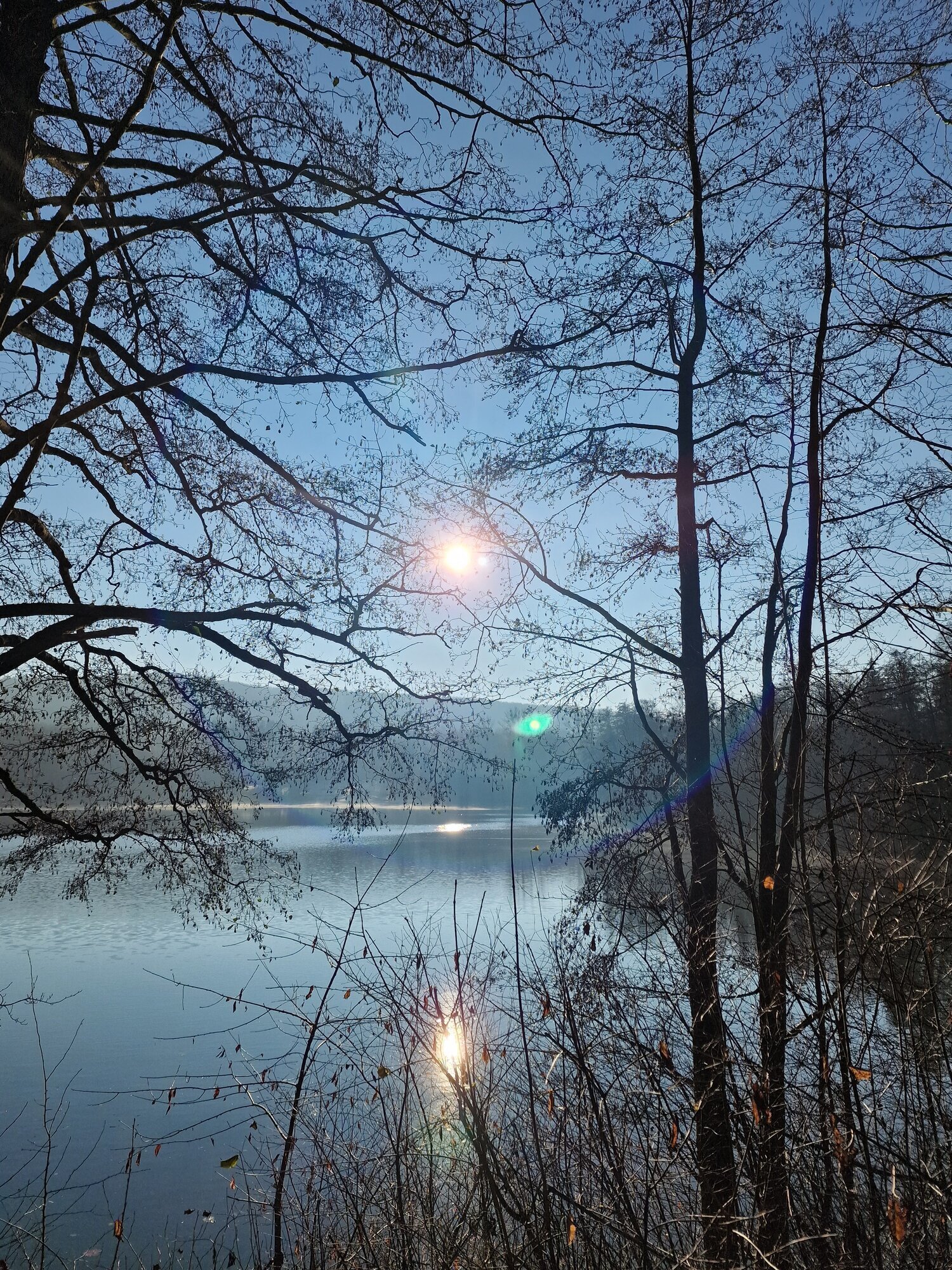 Ferienhaus Mainz am Silbersee, Silbersee 200a in Frielendorf