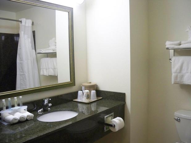 Images Holiday Inn Express & Suites Omaha I - 80, an IHG Hotel