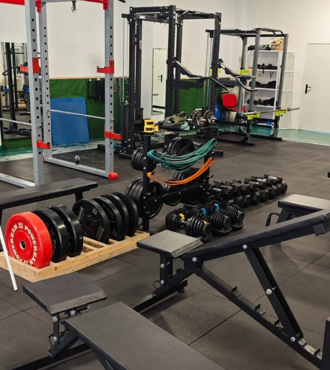 Images Muscle Science