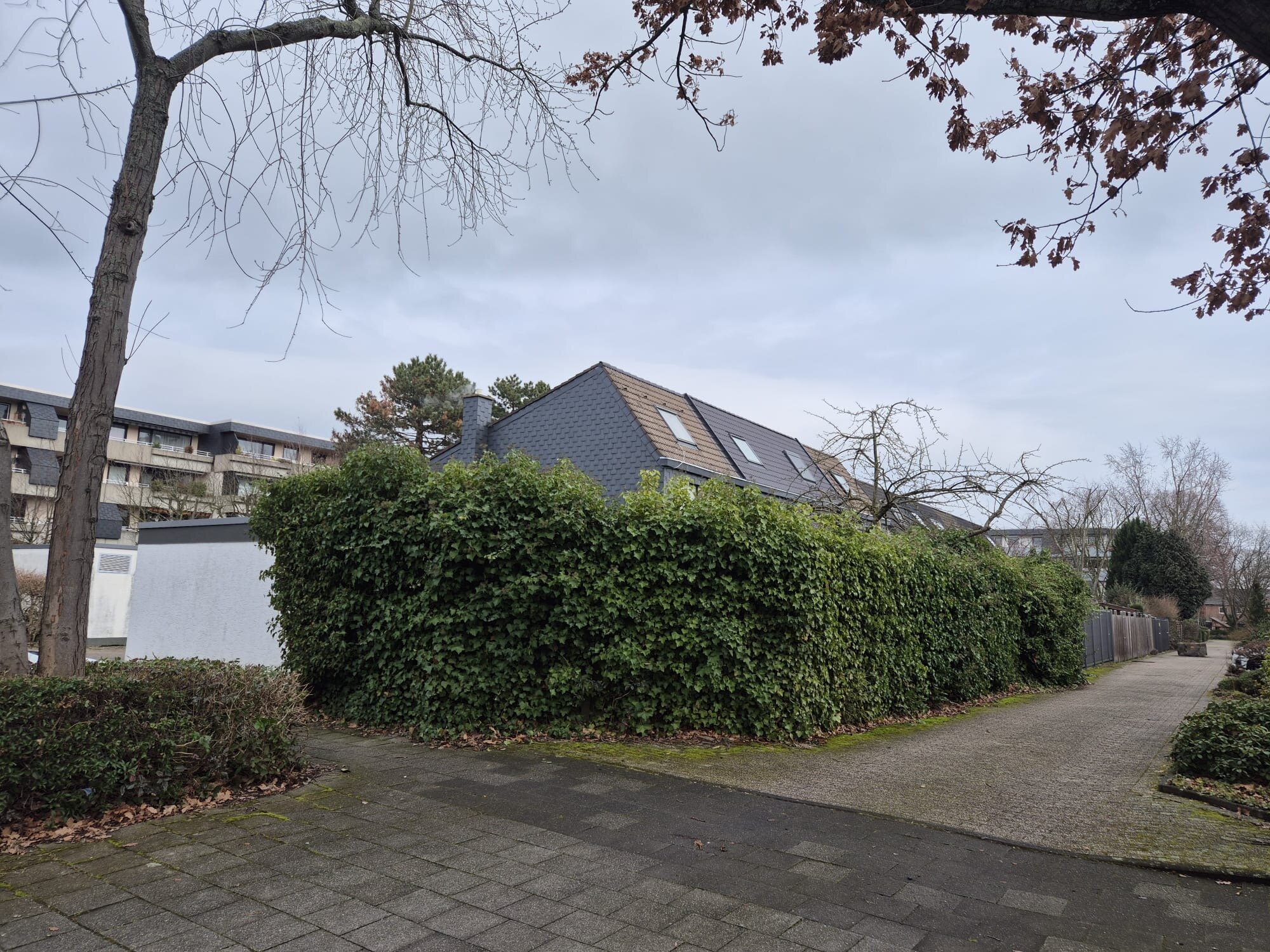 Syla Gartenbau, Sauerbruchstraße 31 in Haan