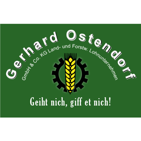 Logo Gerhard Ostendorf GmbH & Co. KG