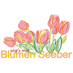 Alexandra Neumayer-Seeber Logo