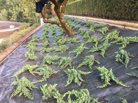 Bilder Biava Mattia - Giardiniere paesaggista