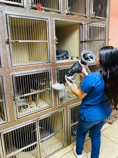 Fotos de Clínica veterinaria Cuidado Animal