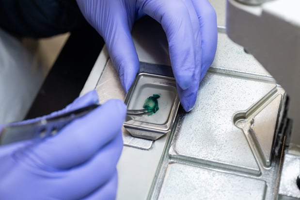 Images Golden State Dermatopathology Lab