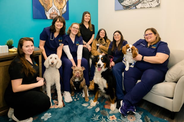 Images PetVet365 Pet Hospital Pittsburgh / South Hills