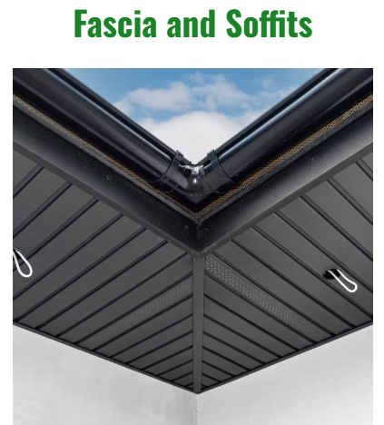 Exterior Cleaning, Softwash, Roof cleaning, powerwashing, gutter cleaning, gutter installations, Fascia & Soffits