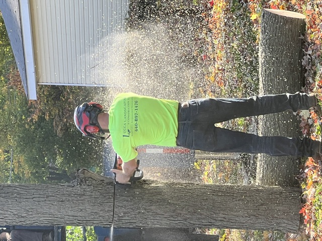 Lucca Landscaping & Construction LLC offers reliable tree cutting services to help manage overgrown, hazardous, or unwanted trees on your property. We handle each job with safety and precision, making sure your landscape remains clean and secure. Our team is experienced in working with trees of all sizes and types, ensuring efficient service with professional results. We’re committed to keeping your outdoor space well-maintained and safe.