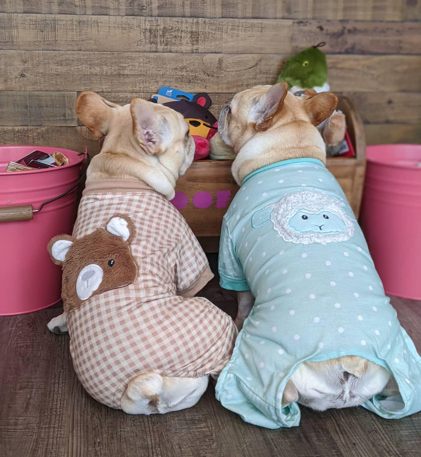 Woof Gang Bakery & Grooming Doral