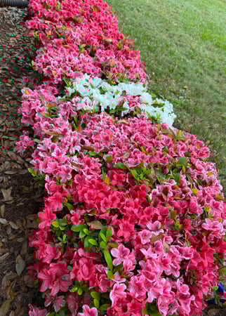 Images Edith Aldrich - State Farm Insurance Agent