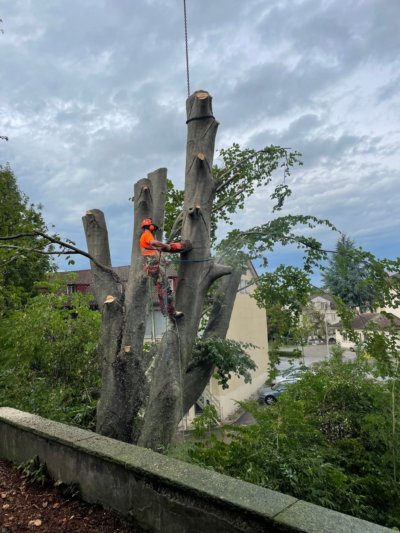 Bilder Hans Osterwalder AG