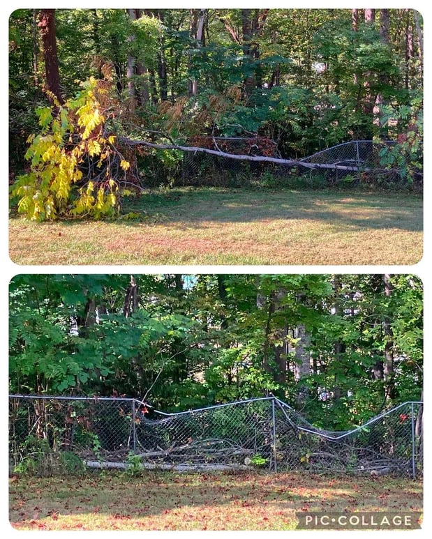 Images Stick’s Paint & Garden Maintenance