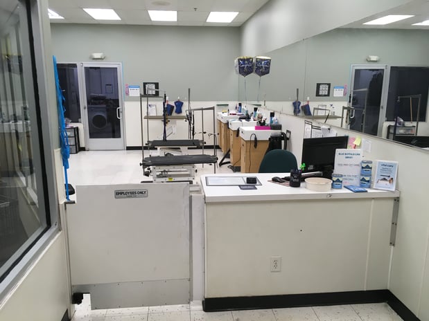 Images Petco Grooming