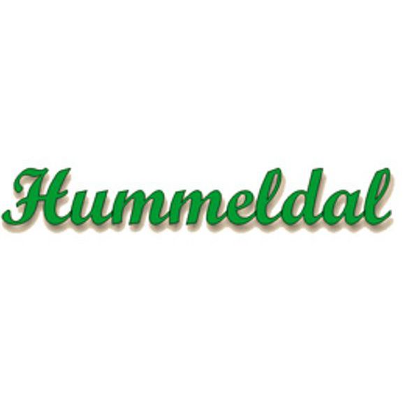 Hummeldal Logo