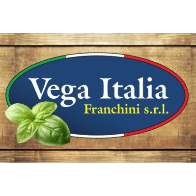 Vega Italia Franchini Logo
