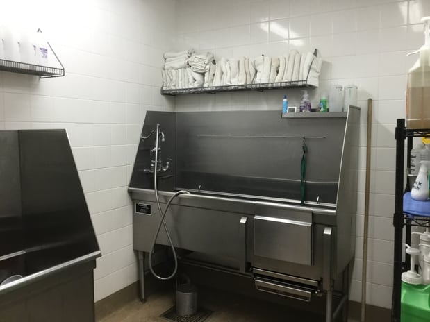 Images Petco Grooming