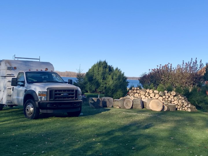 Images Arboriculture PH