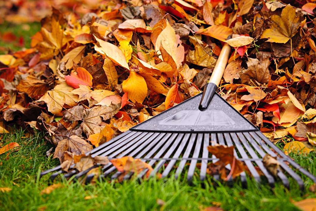 FROG Landscaping and Lawn Care