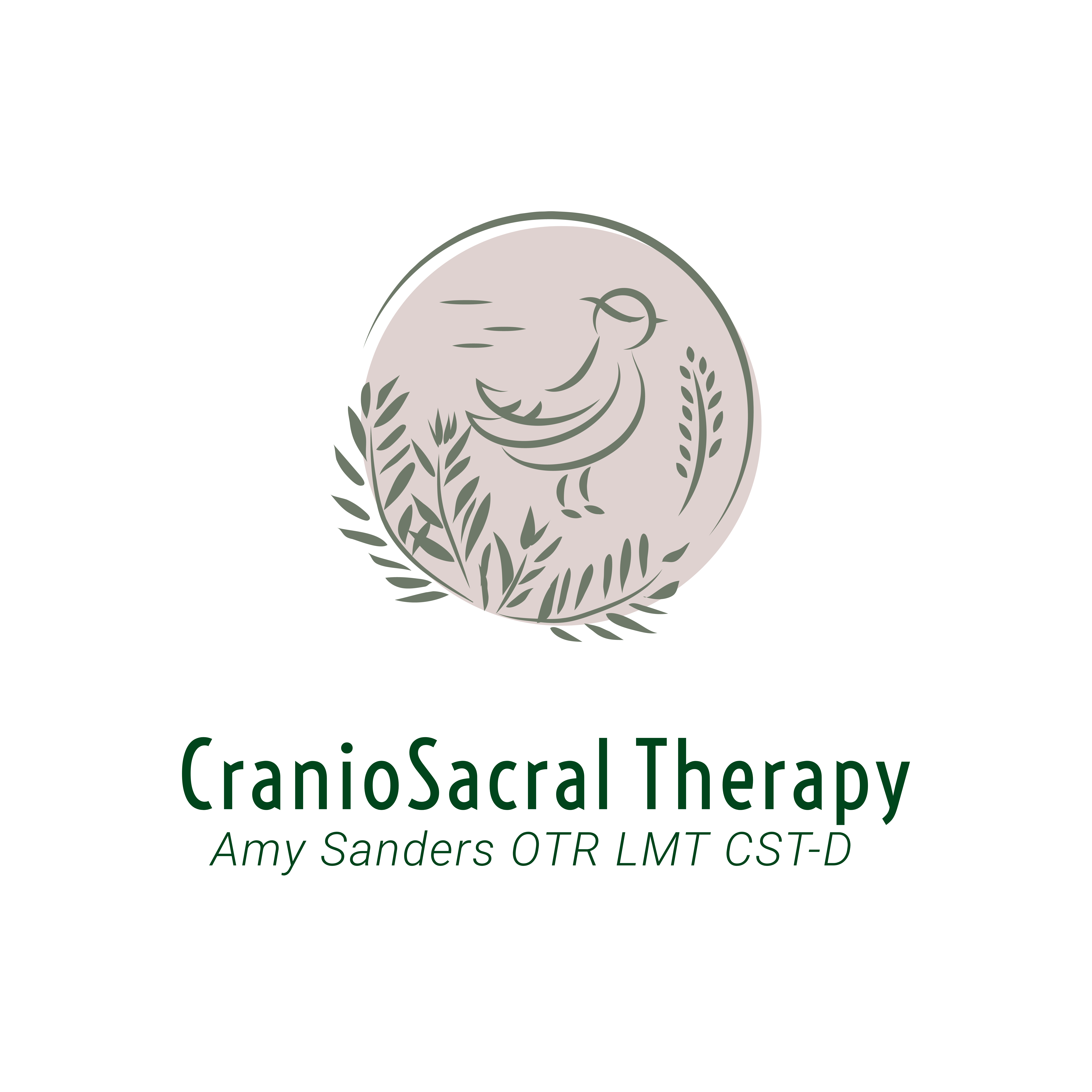Amy Sanders Therapy
