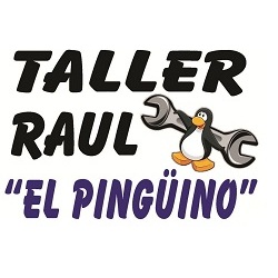 TALLER RAUL "EL PINGÜINO" Ayamonte