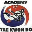 Academy of Tae kwon do Logo