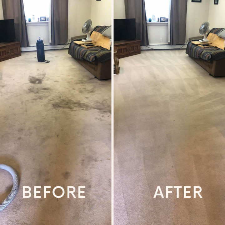 Images Johnson's Carpet Cleaning