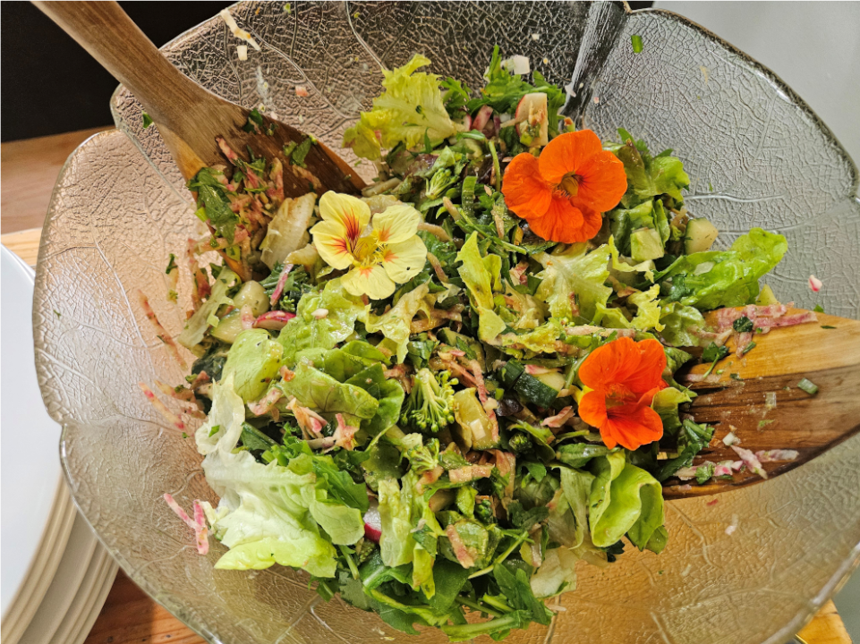 Corinna Handt Gesundheitsberaterin & Ernährungsberatung in Hamburg, Heubergredder 32 in Hamburg