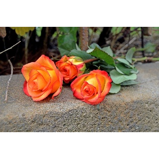 Trauerrednerin Maike Burghardt, Apothekenweg 6 A in Sickte