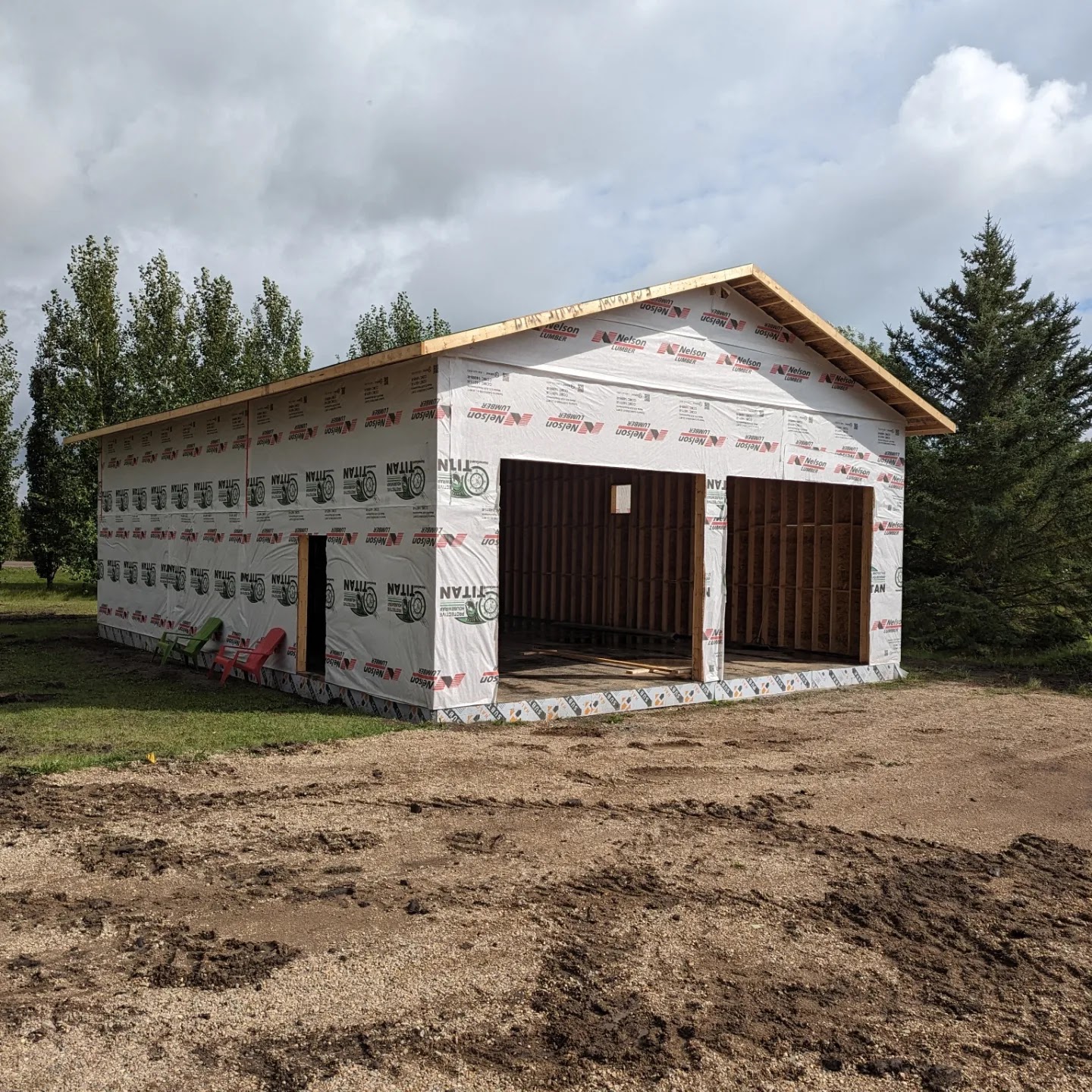 Images The Blue Spruce Builder