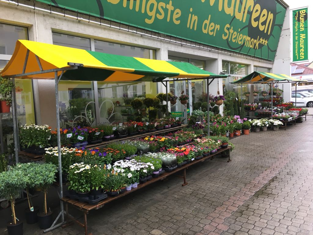 Blumen Maureen, Gleichenberger Straße 22 in Feldbach