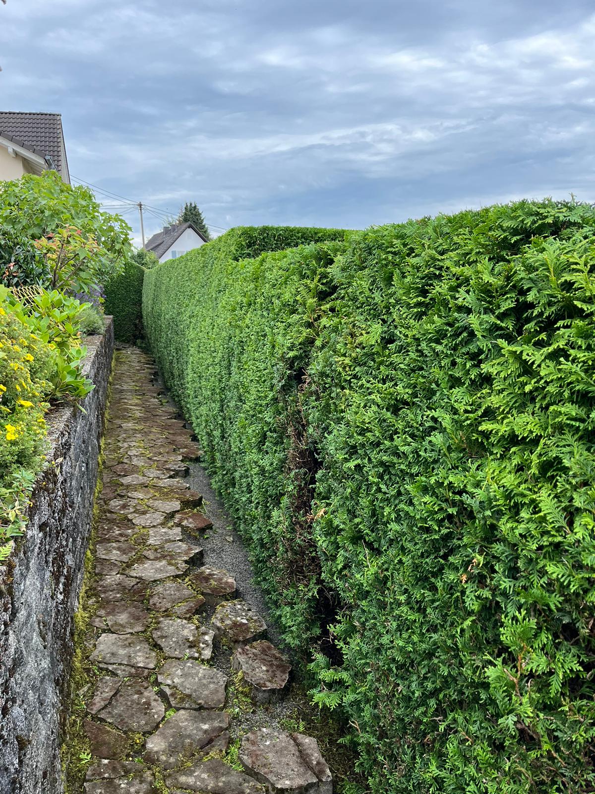 Baum- & Gartenpflege Loose in Melsbach