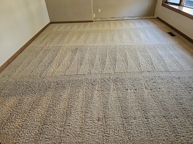 Images Aqua Green Carpet Clean LLC