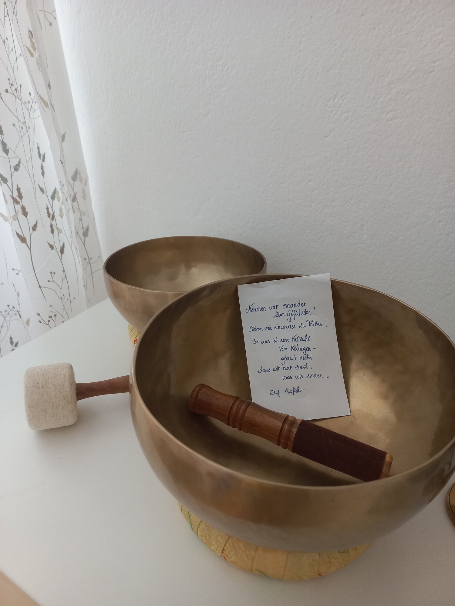 Bild 21 von Michaela Kemptner - begleitet sein
