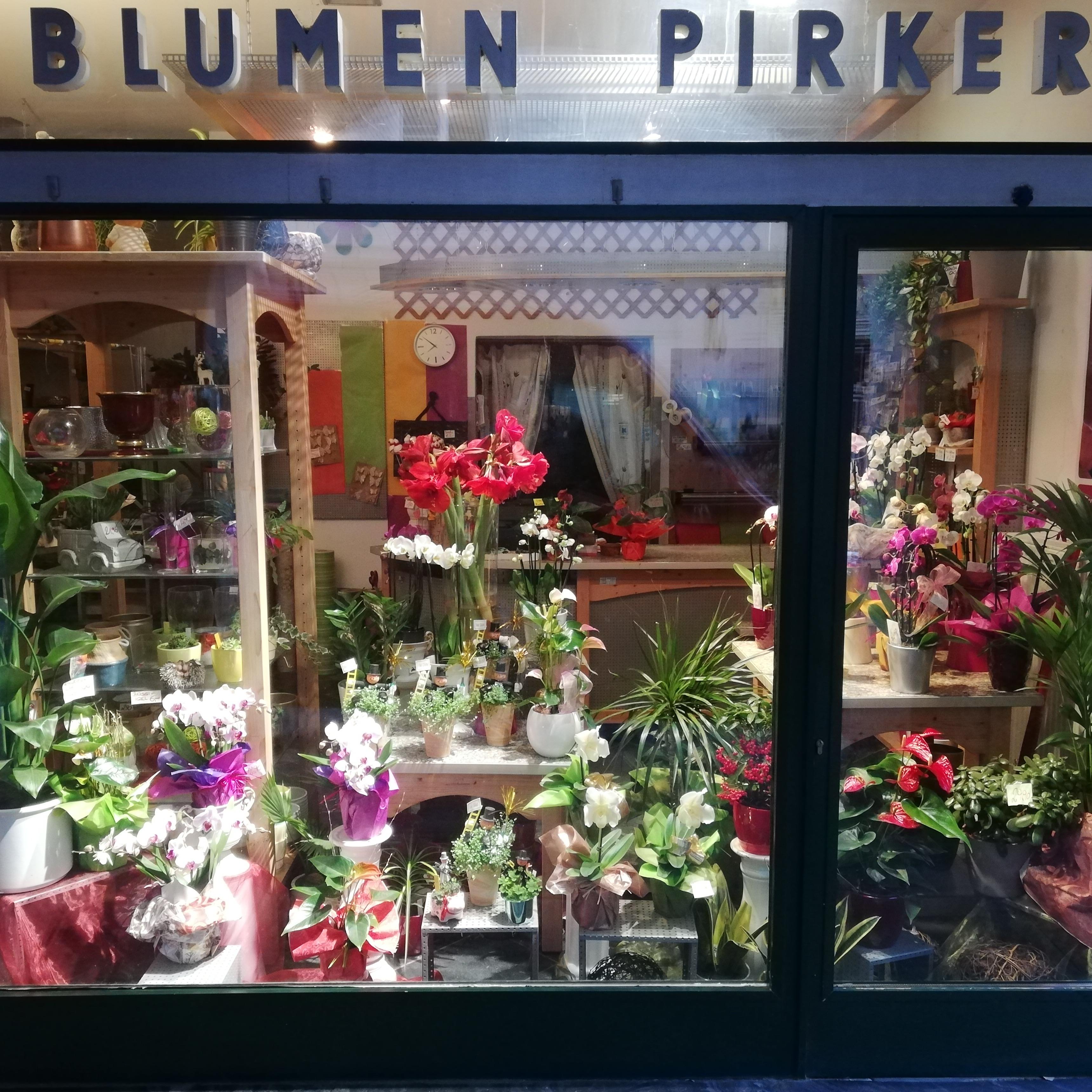 Blumen Pirker Logo